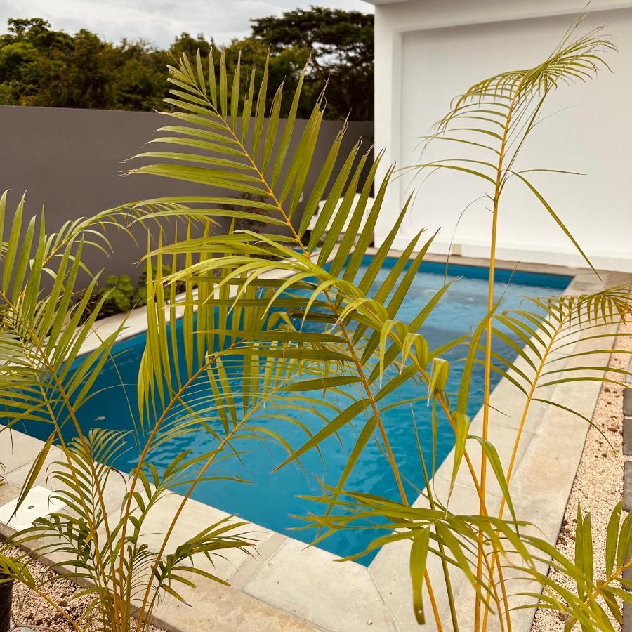 Appartement Noam 2, Mont Choisy Exterior photo